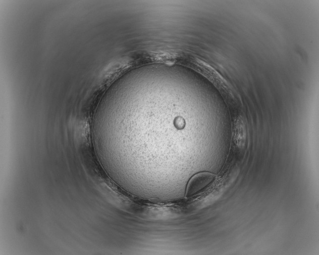X0000112080523200908111458