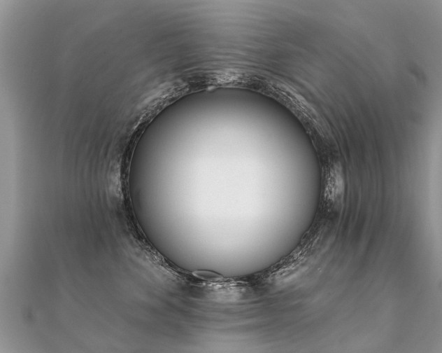 X0000112080524200908111458