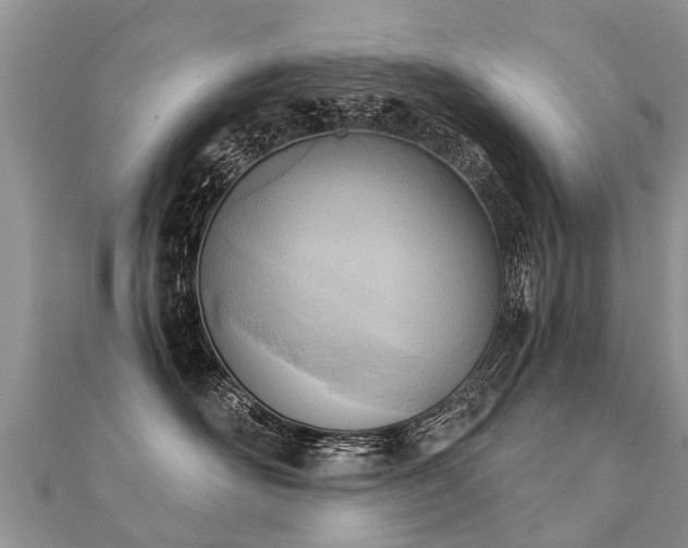 X0000112080526200908111458
