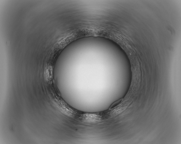 X0000112080528200908111458
