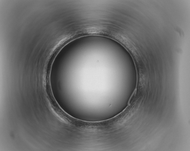 X0000112080530200908111457