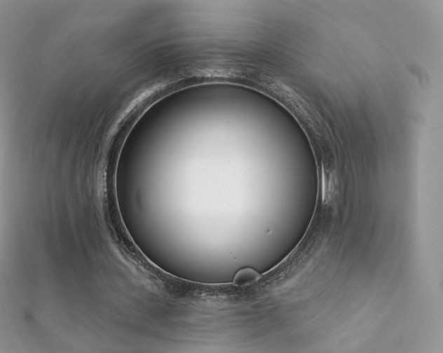 X0000112080531200908111457