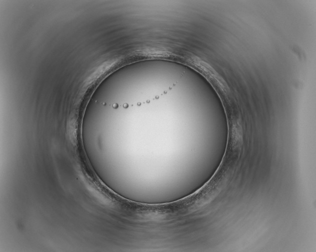 X0000112080533200908111457