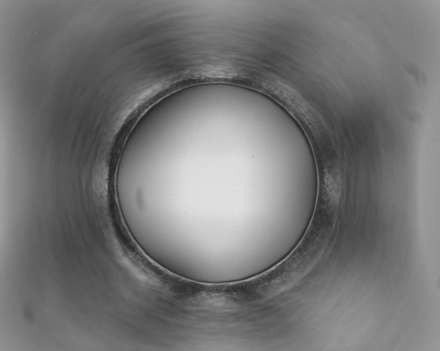 X0000112080534200908111457