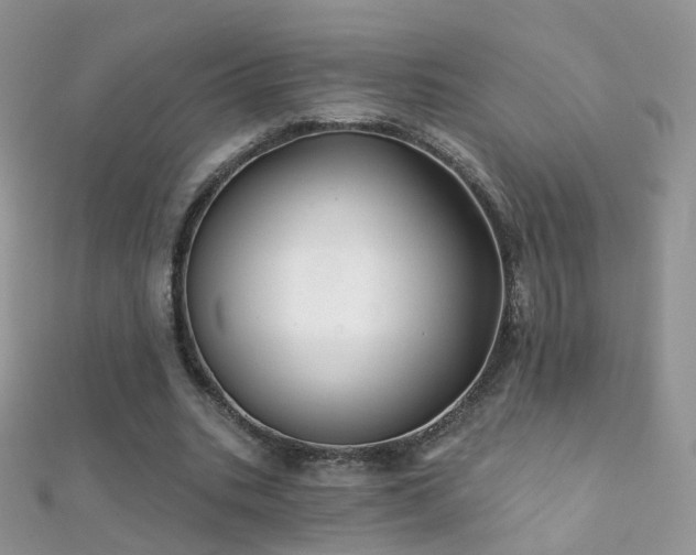 X0000112080535200908111457