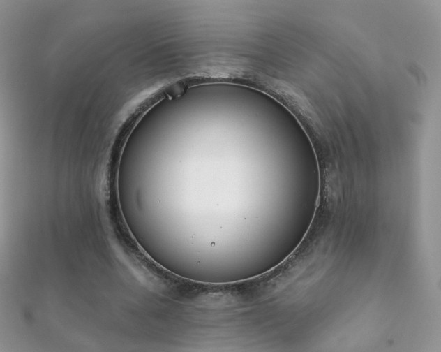 X0000112080536200908111457