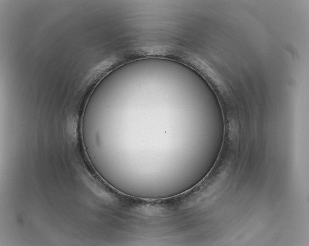 X0000112080537200908111457
