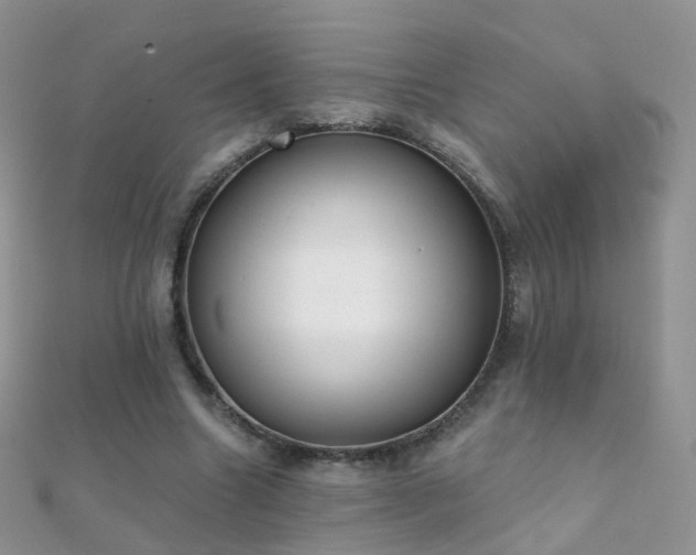 X0000112080538200908111457