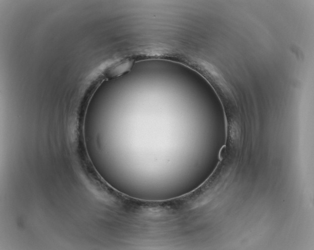 X0000112080540200908111457
