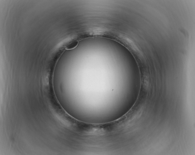 X0000112080543200908111457