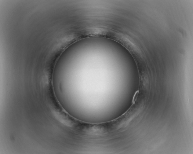 X0000112080546200908111457