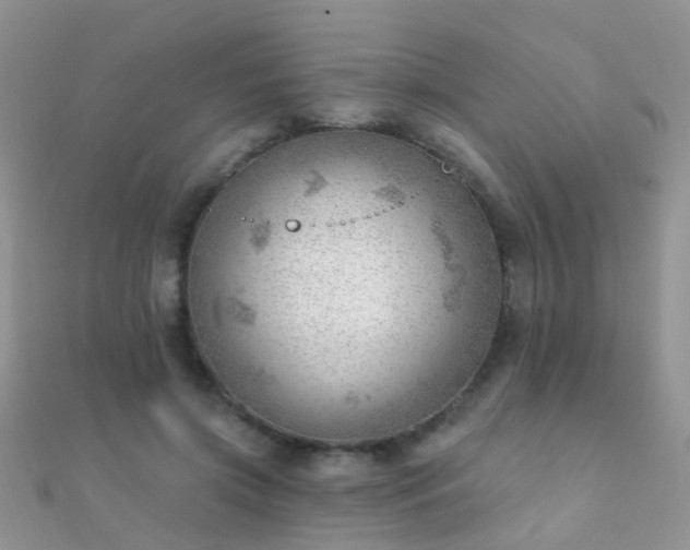 X0000112080549200908111457