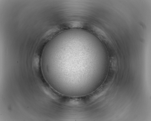 X0000112080550200908111457