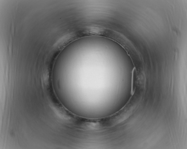 X0000112080552200908111457