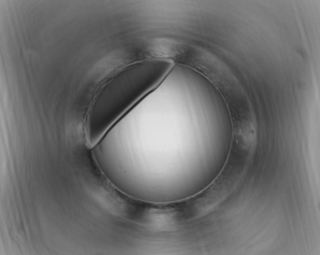 X0000112080556200908111457