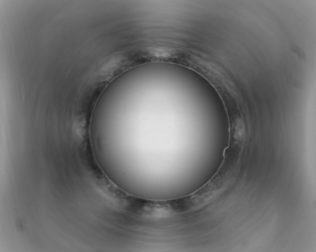 X0000112080559200908111457