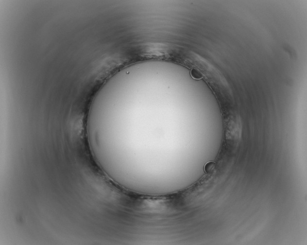 X0000112080560200908111457
