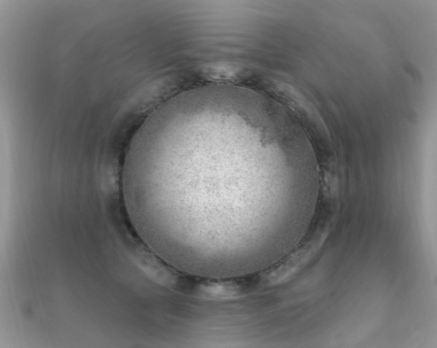 X0000112080561200908111457