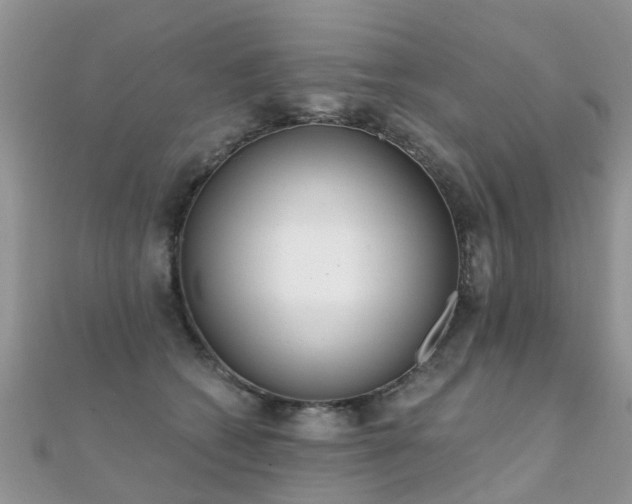 X0000112080562200908111458