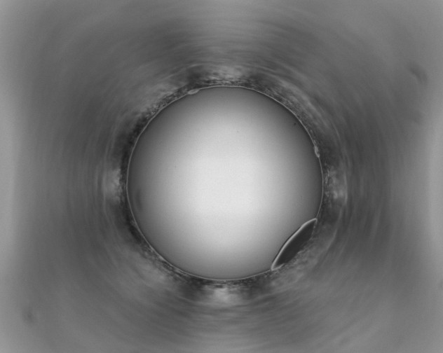 X0000112080564200908111458