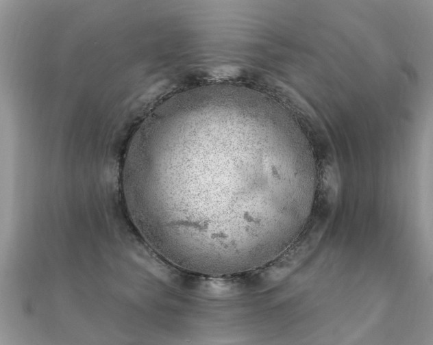 X0000112080565200908111458