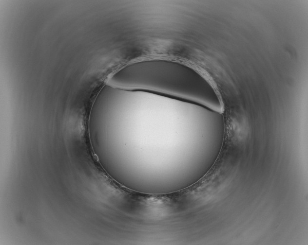 X0000112080566200908111458