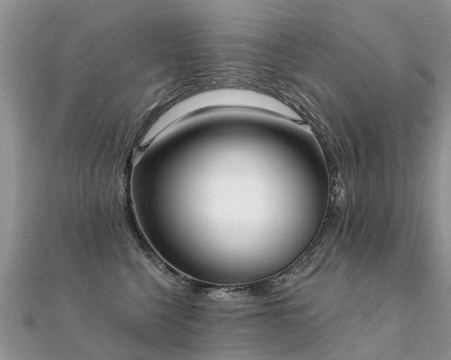 X0000112080568200908111458