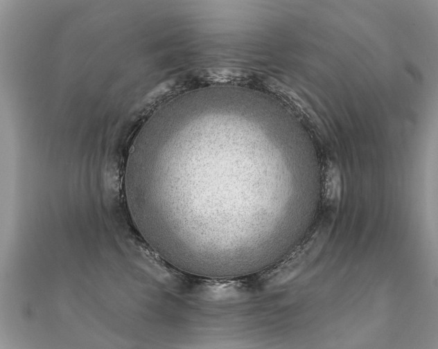 X0000112080569200908111458