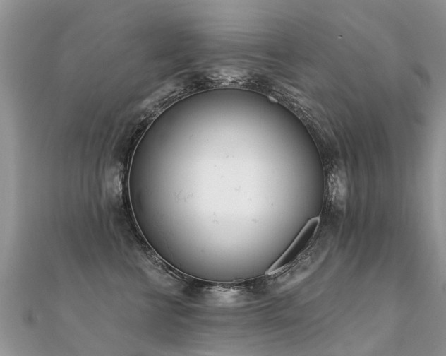 X0000112080570200908111458