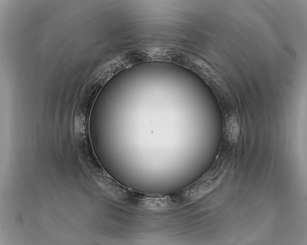 X0000112080571200908111458