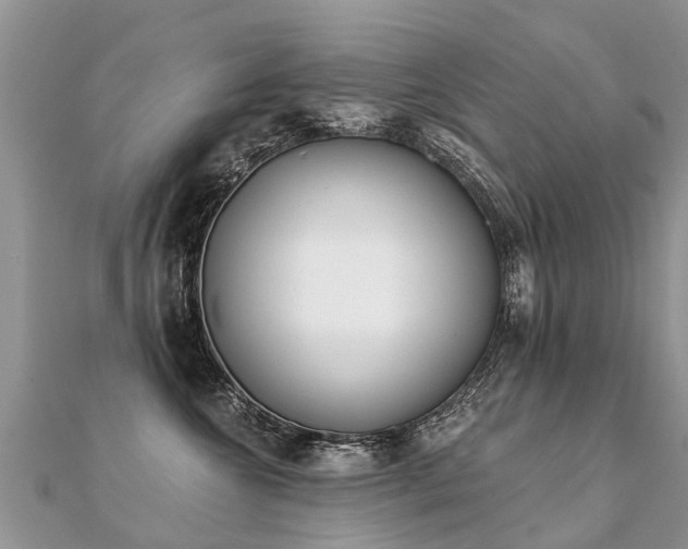 X0000112080572200908111458