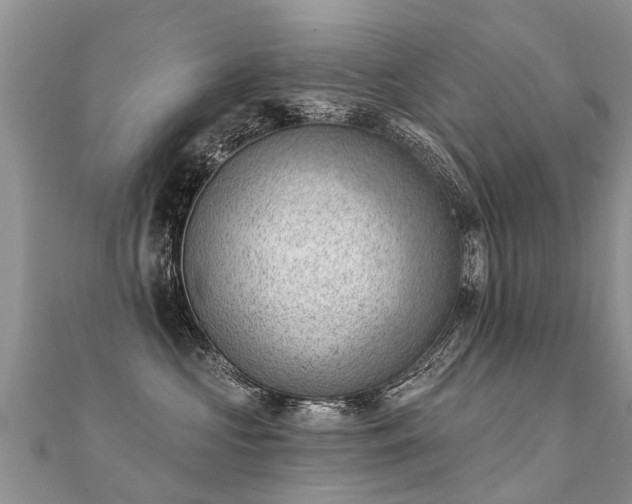 X0000112080573200908111458