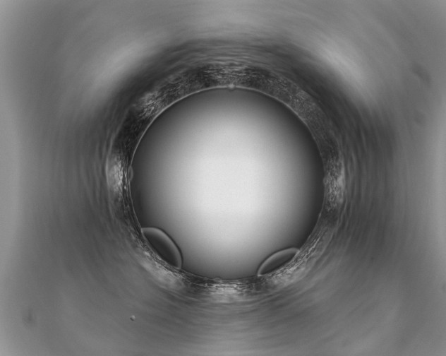 X0000112080574200908111458