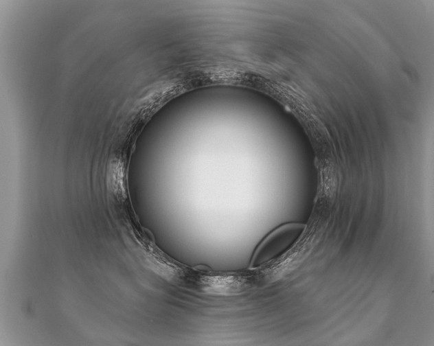 X0000112080575200908111458