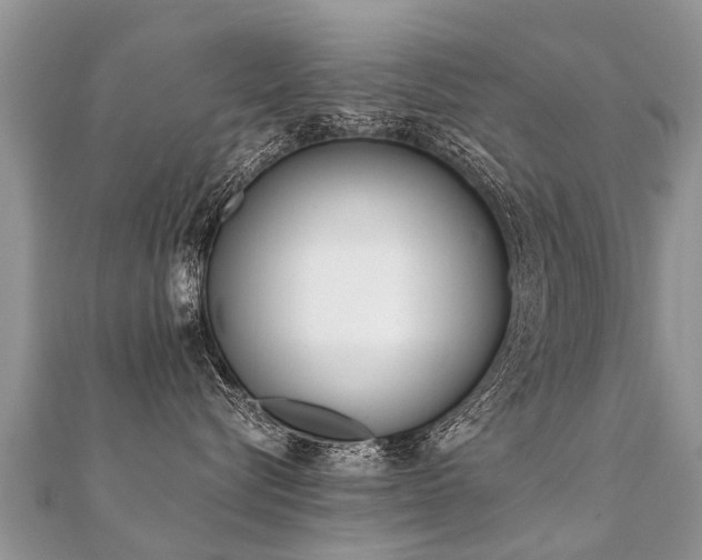 X0000112080576200908111458