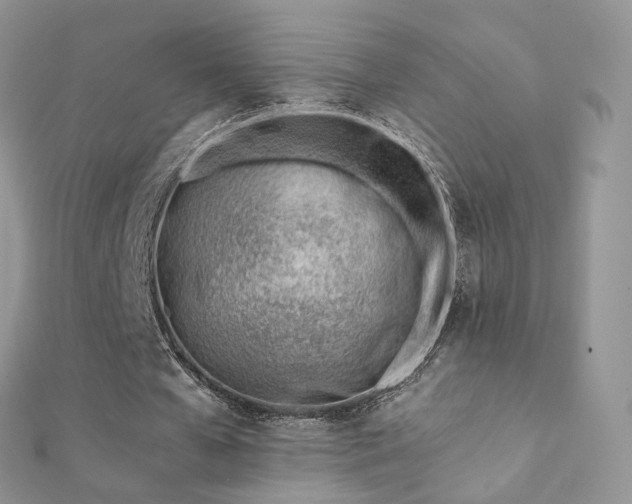 X0000112080577200908111457