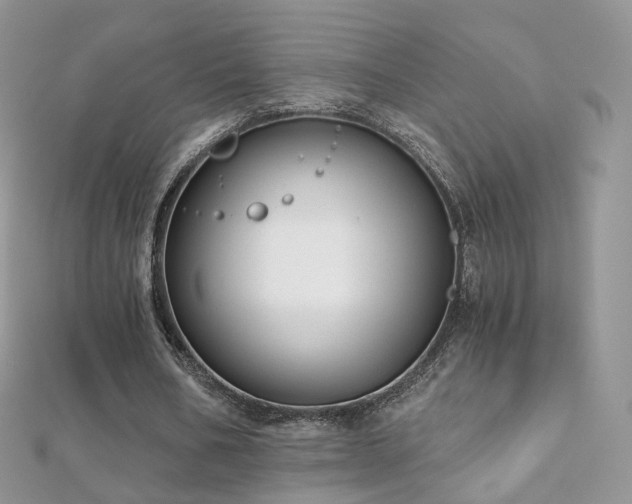 X0000112080578200908111457