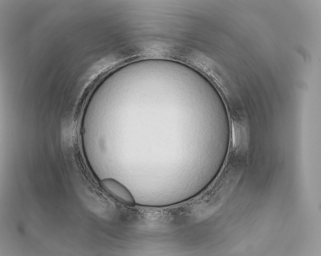 X0000112080579200908111457