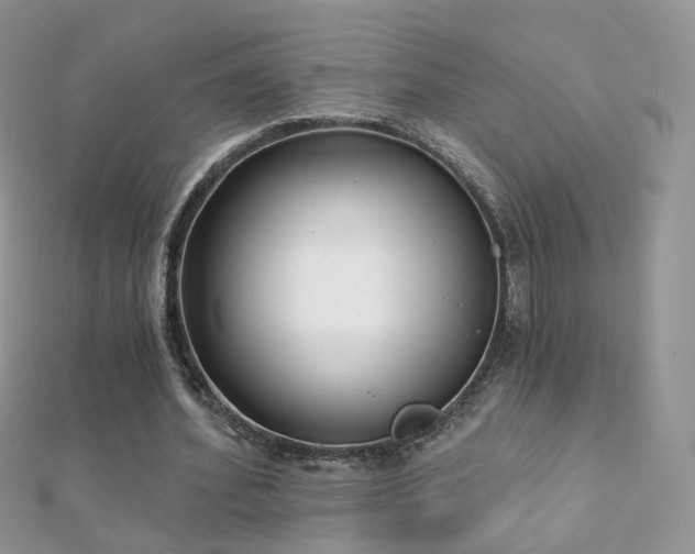 X0000112080580200908111457