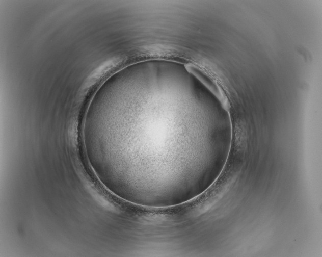 X0000112080581200908111457