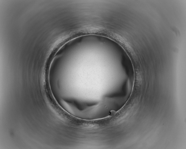 X0000112080582200908111457