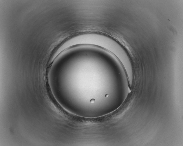 X0000112080585200908111457