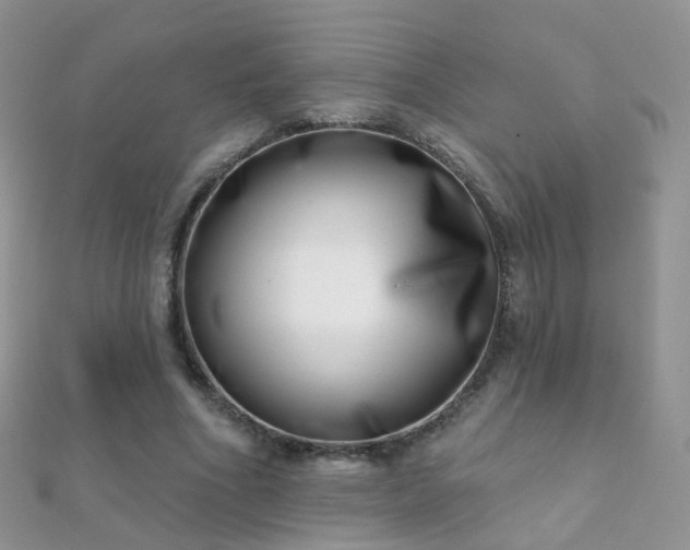 X0000112080586200908111457