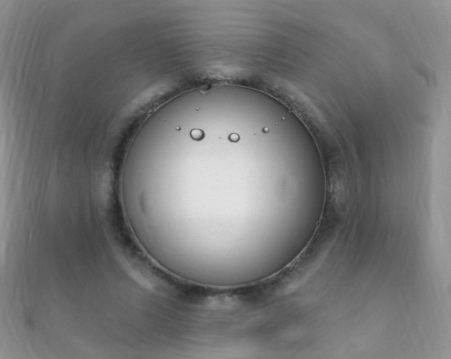 X0000112080591200908111457