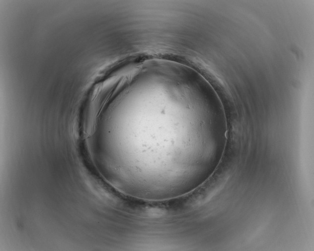X0000112080592200908111457
