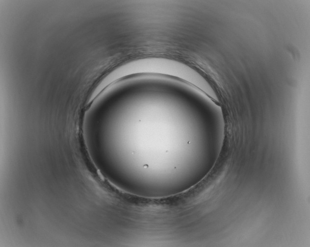 X0000112080593200908111457