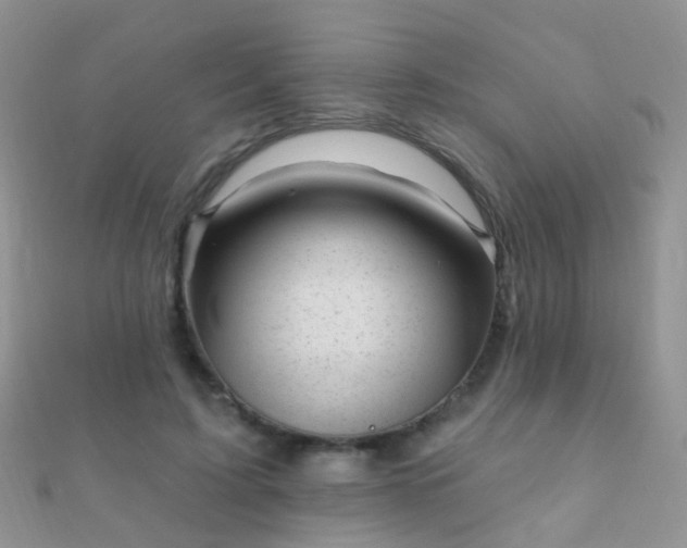 X0000112080595200908111457