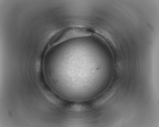 X0000112080596200908111457
