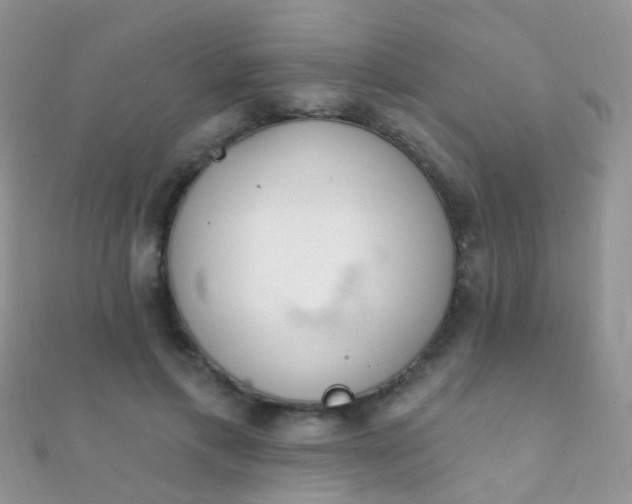 X0000112080597200908111457