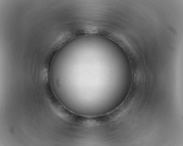 X0000112080598200908111457